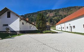 Pferdegut Schloss Treffen Apartments